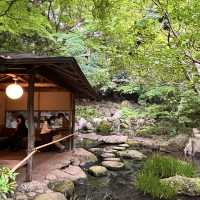 〜東京都〜六義園(りくぎえん)美しい日本庭園！穴場スポット