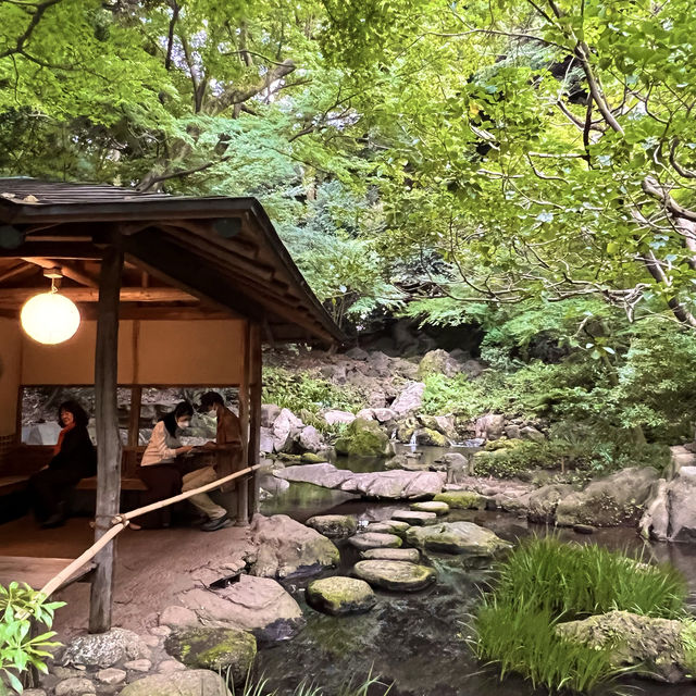 〜東京都〜六義園(りくぎえん)美しい日本庭園！穴場スポット