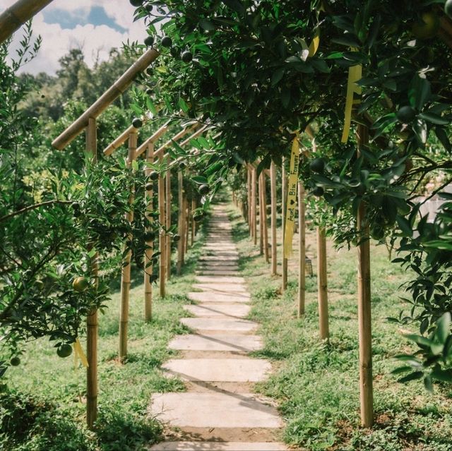 สวนของฉัน My garden 