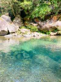 【三重 紀北町】三重の自然美 魚飛渓🏞✨