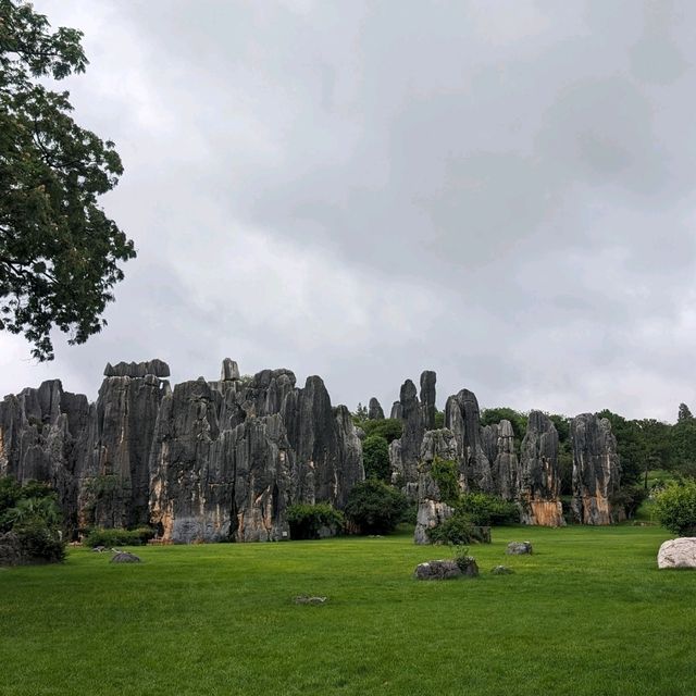 Stone Forest?!