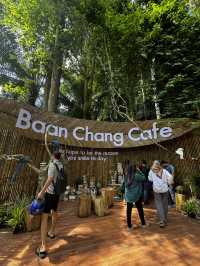 タイ🇹🇭クラビ　❤️🐅や🐘あと触れ合えるカフェ🍽️