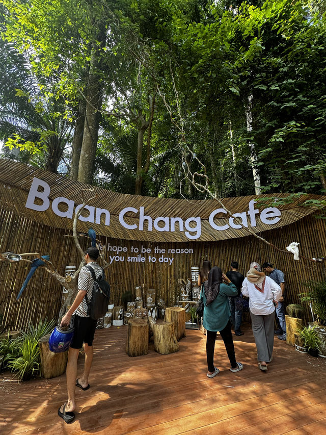 タイ🇹🇭クラビ　❤️🐅や🐘あと触れ合えるカフェ🍽️