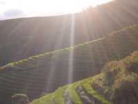 Discovering Tà Xùa, Yên Bái: A Nature Lover's Paradise