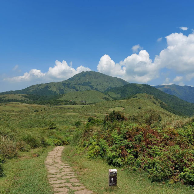 和美山步道：賞景登山健行，享受綠色長廊的靜謐祥和