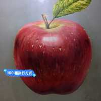 蘭卡威3D藝術互動樂園，大人小孩玩的不亦樂乎