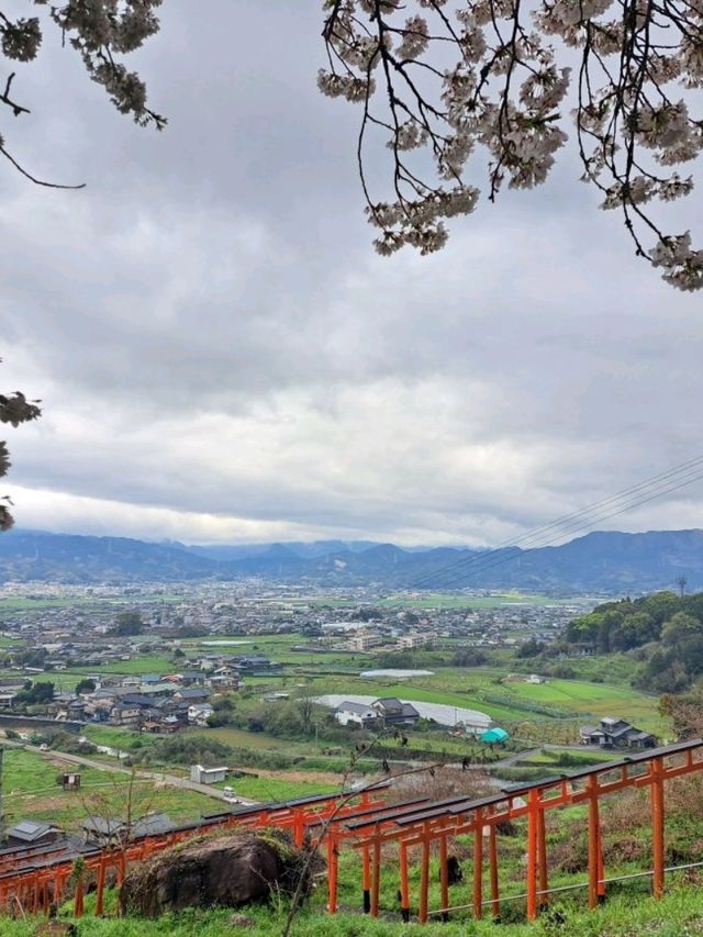 【浮羽稲荷神社：福岡県うきは市】圧巻の鳥居が素敵な神社⛩️