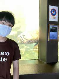 สถานแสดงพันธุ์สัตว์น้ำ ภูเก็ต (Phuket Aquarium )