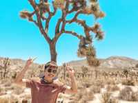 🇺🇸 Visit Joshua Tree National Park