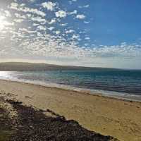 FORSHORE of PT lincoln and its tuna