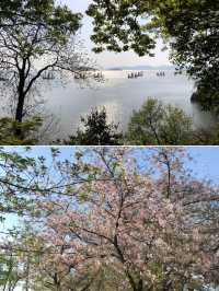 Incredible Beauty of Wuxi Turtle Head Island 🐢🌳