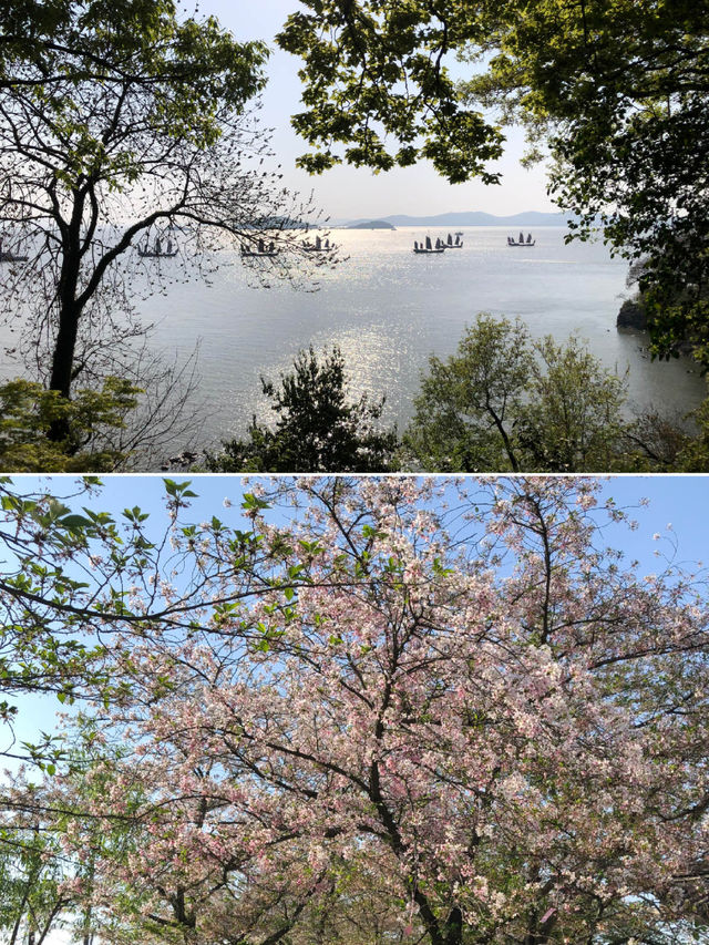 Incredible Beauty of Wuxi Turtle Head Island 🐢🌳
