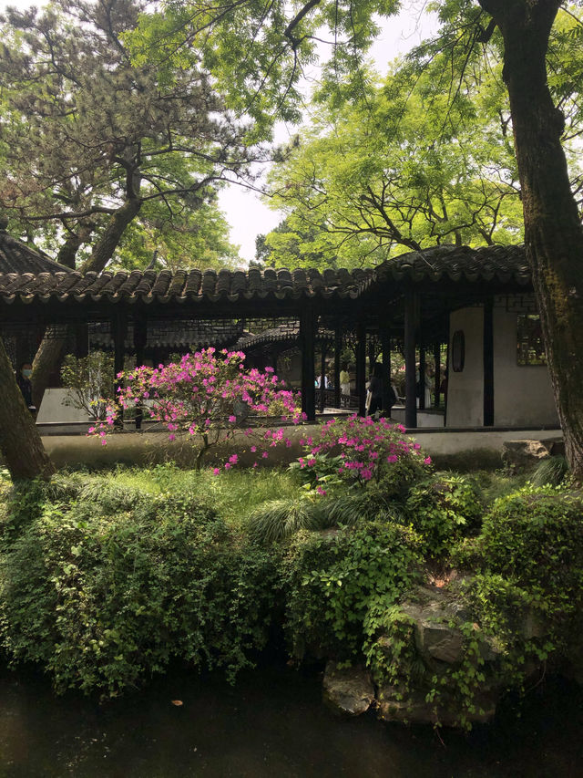 Suzhou Classical Gardens are a UNESCO World Heritage Site! 🇨🇳