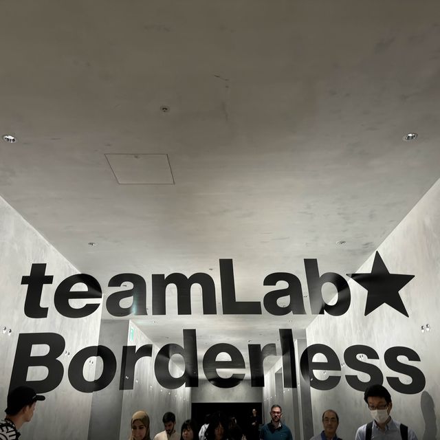 Teamlab Borderless ✨