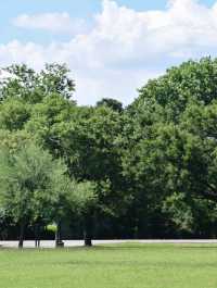 Best park in Houston