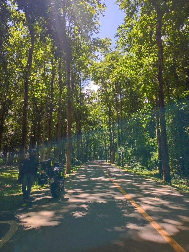 อุทยานแห่งชาติไทรโยคใหญ่