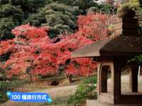 小石川後樂園🍁日式古香庭院
