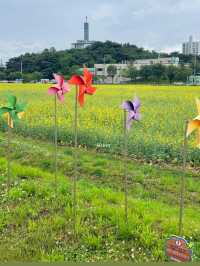 이곳이 바로 한국의 스위스🇨🇭🌿