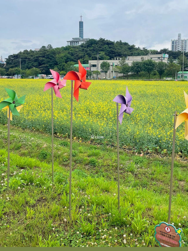 이곳이 바로 한국의 스위스🇨🇭🌿