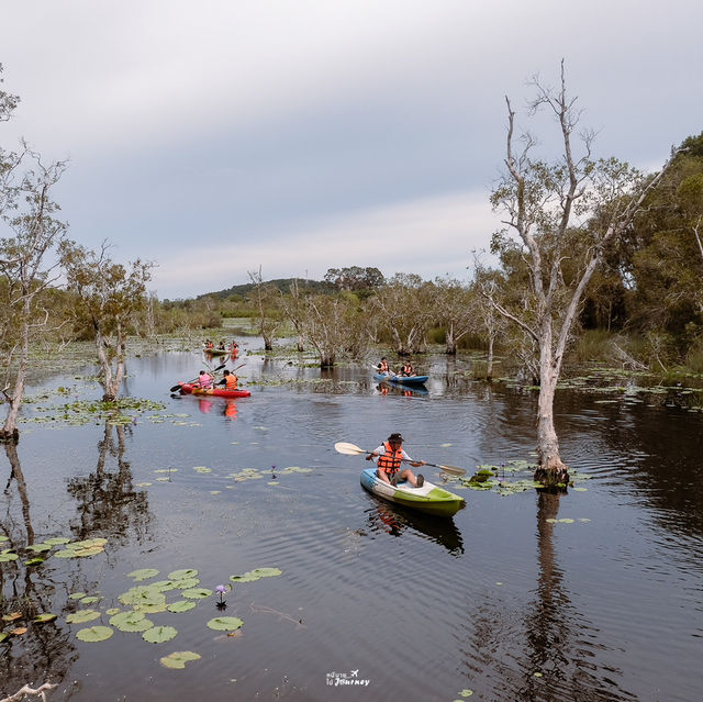 พายคายัคชมป่าเสม็ดโบราณ ที่สวนพฤกษศาสตร์ระยอง🚣🌳