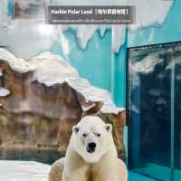 🐧Harbin Polar land 哈爾濱極地公園·極地館 