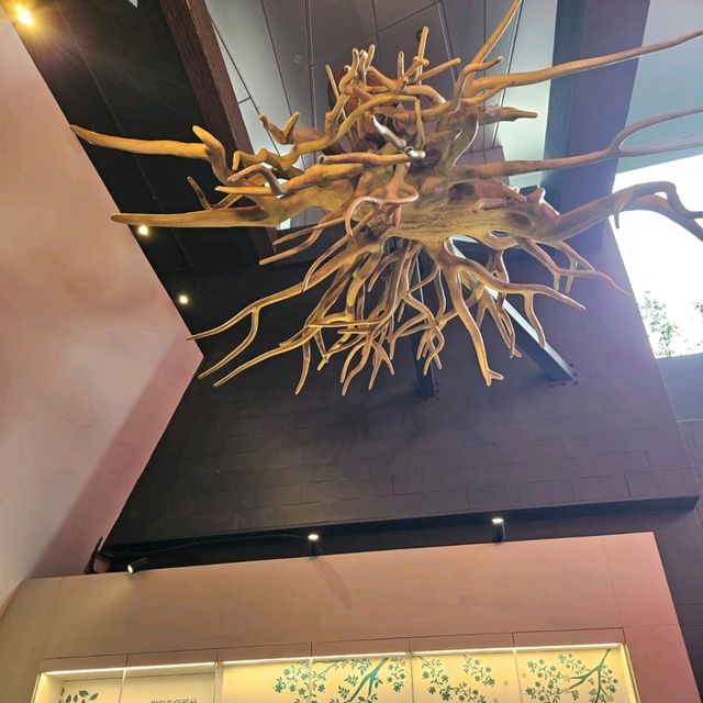 香港首間木化石博物館