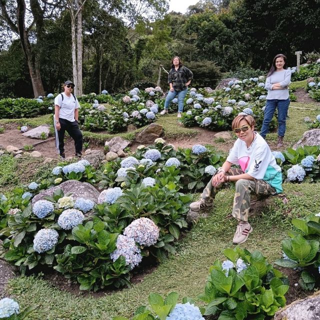 Spring Garden Kundasang, A Slice of Nature's Paradise