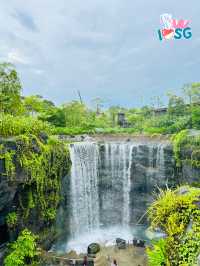 🇸🇬 Bird Paradise also have waterfall