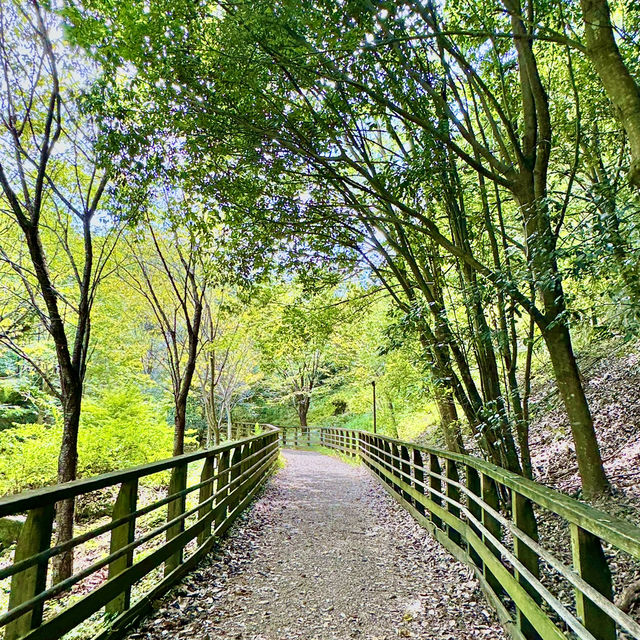 府民の森の中にある吊り橋