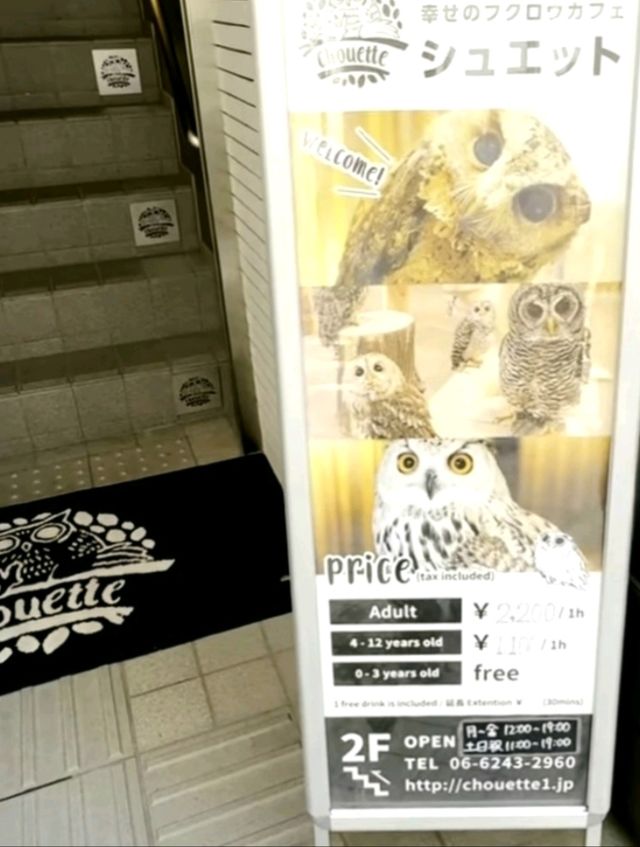 大阪貓頭鷹 Café 🦉 Owl Café 🦉