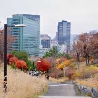 Namsan Park #seoul #southkorea 