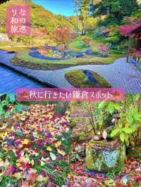 〜神奈川県〜秋の始まりに行きたい紅葉スポット