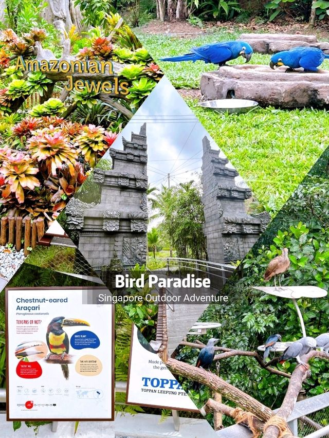An Exciting Day Out at Bird Paradise 