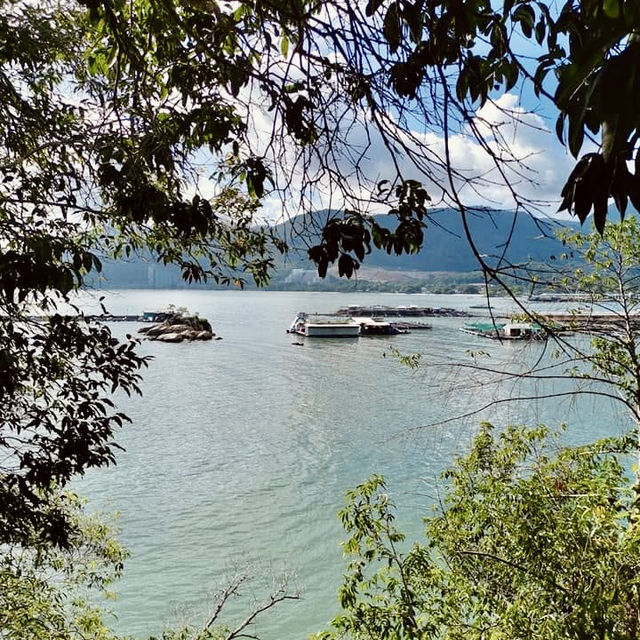 "Discovering the Natural Wonders of Penang National Park"