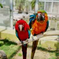 Hwajowon / Flower Bird Park