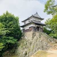 備中松山城　現存十二天守