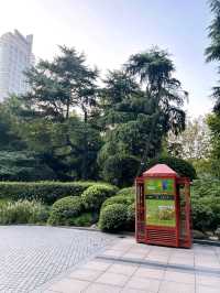 Peaceful Escape in Shanghai People's Park