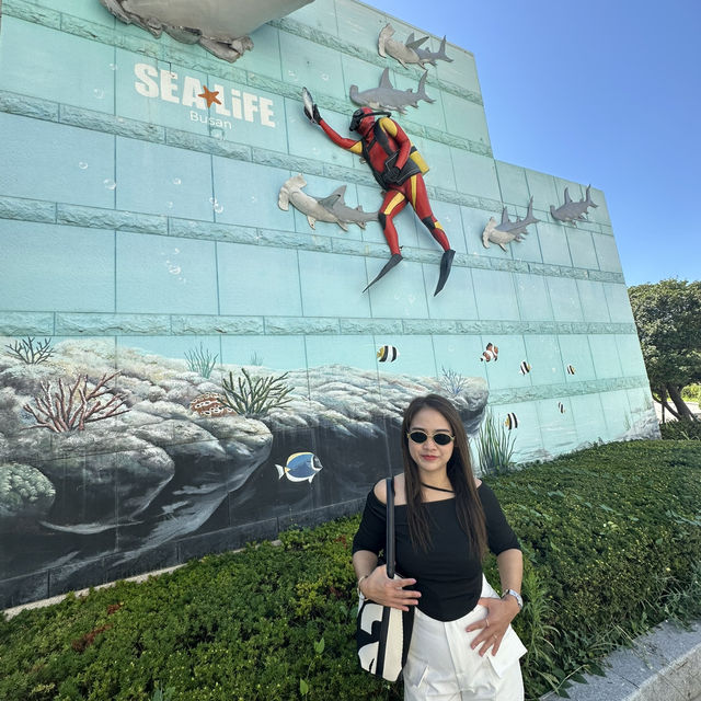 พิพิธภัณฑ์สัตว์น้ำเมืองปูซานะ🦑🦀🇰🇷