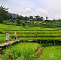 นาขั้นบันได บ้านป่างเปียง เชียงใหม่