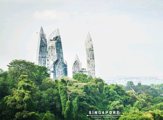 ทางเดินลอยฟ้า The Southern Ridges