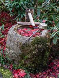 【京都府】嵐山祐斎亭