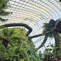 Gardens by the Bay 