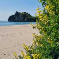 Cathedral Cove