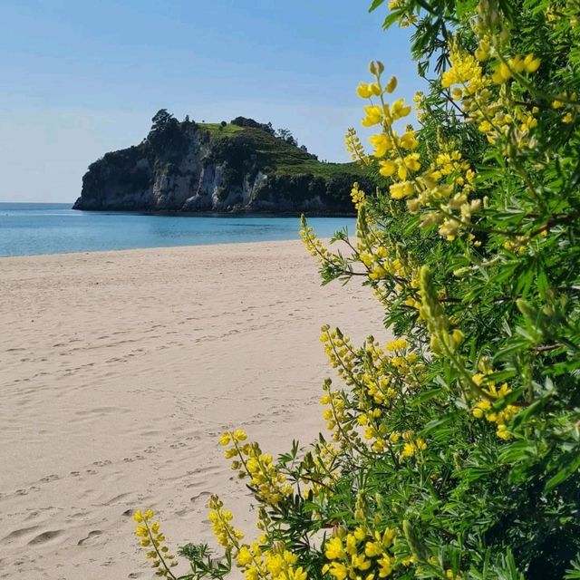 Cathedral Cove