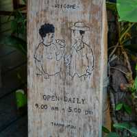 ไปเที่ยวอุโมงค์ต้นตาลที่ จ. เพชรบุรีกัน 🌴🌴