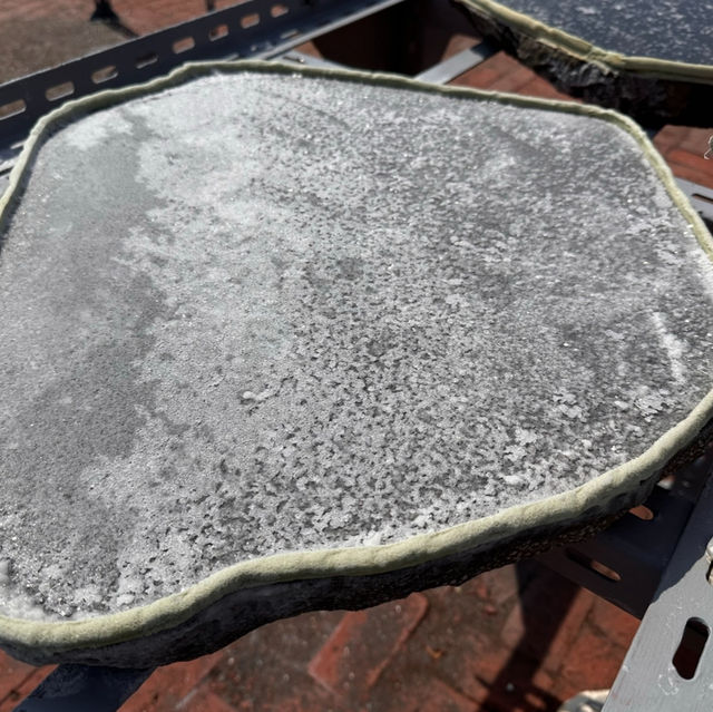 來台南感受一日可以上雪山又去沙漠