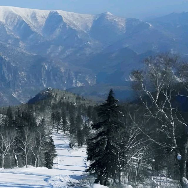  ⛷️ 【黑岳滑雪場】滑雪愛好者x冬季天堂 ❄️