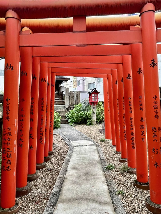 うさぎがいっぱい🐰🩷神席当選続出！推し活神社