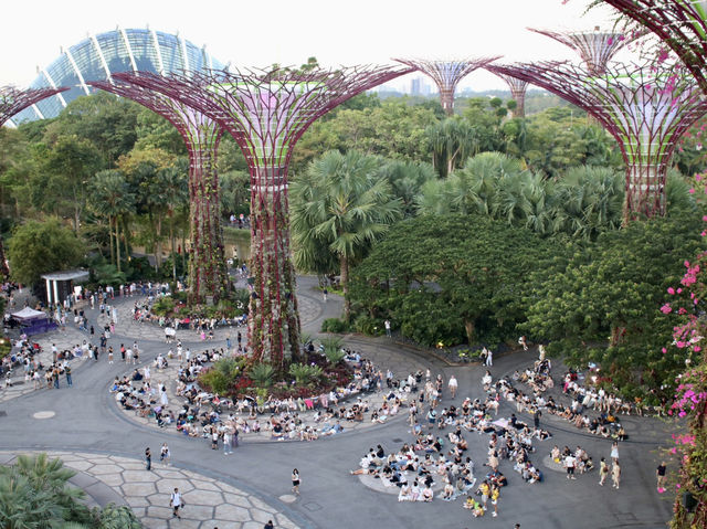 Supertree Grove Day View