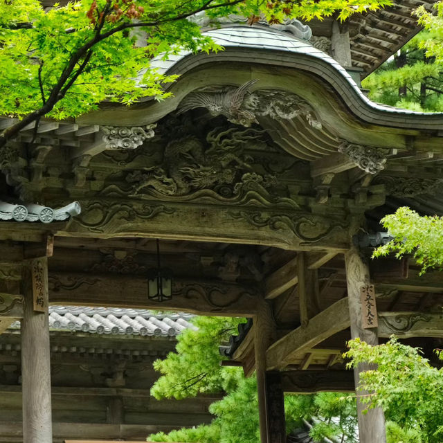 法雲禪寺：日式靜謐 🍃🧘‍♂️